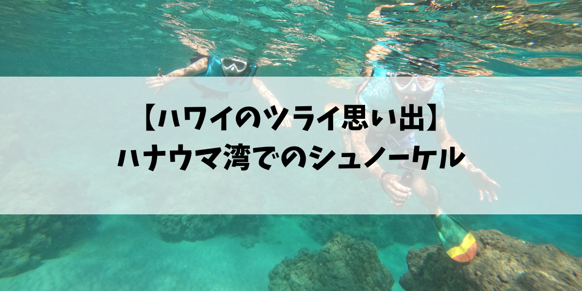 【ハワイのツライ思い出】ハナウマ湾でのシュノーケル