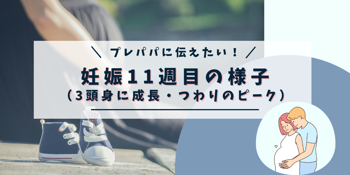 プレパパに伝えたい！妊娠11週目の様子（3頭身に成長・つわりのピーク）