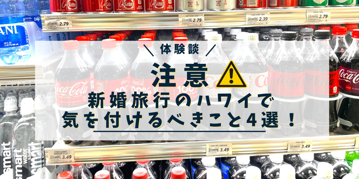 【体験談】注意！新婚旅行のハワイで気を付けるべきこと4選！