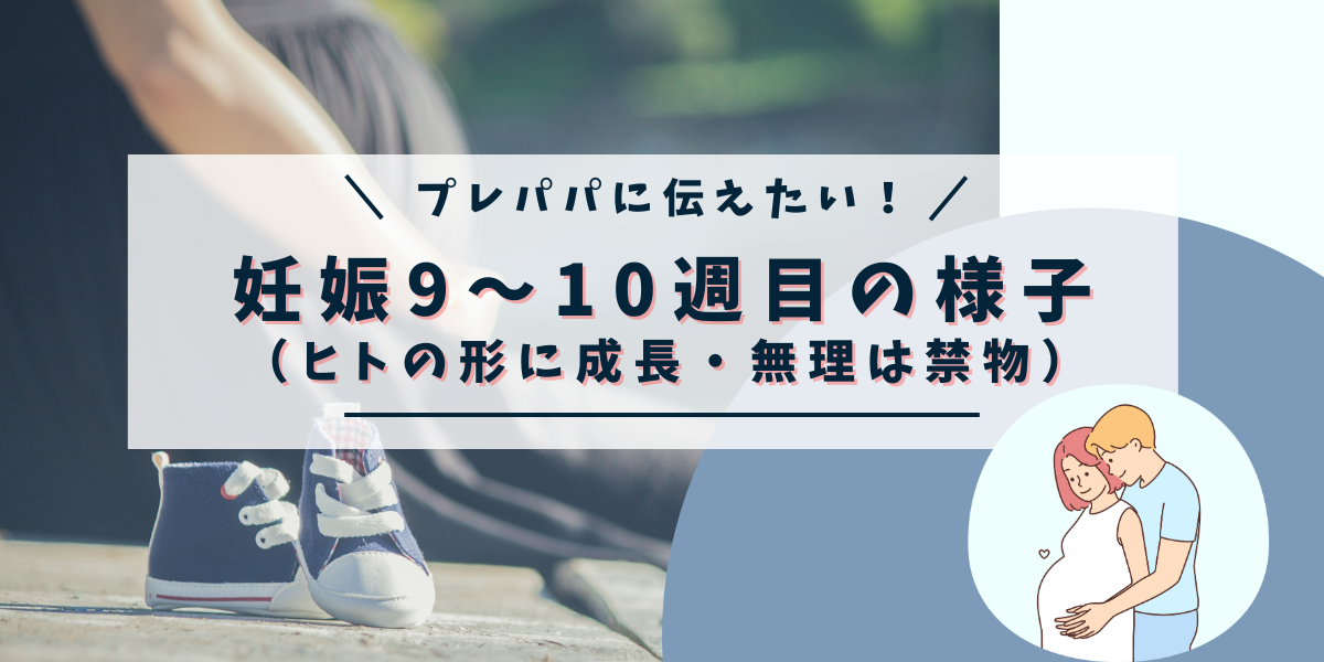 プレパパに伝えたい！妊娠９～10週目の様子（ヒトの形に成長・無理は禁物）