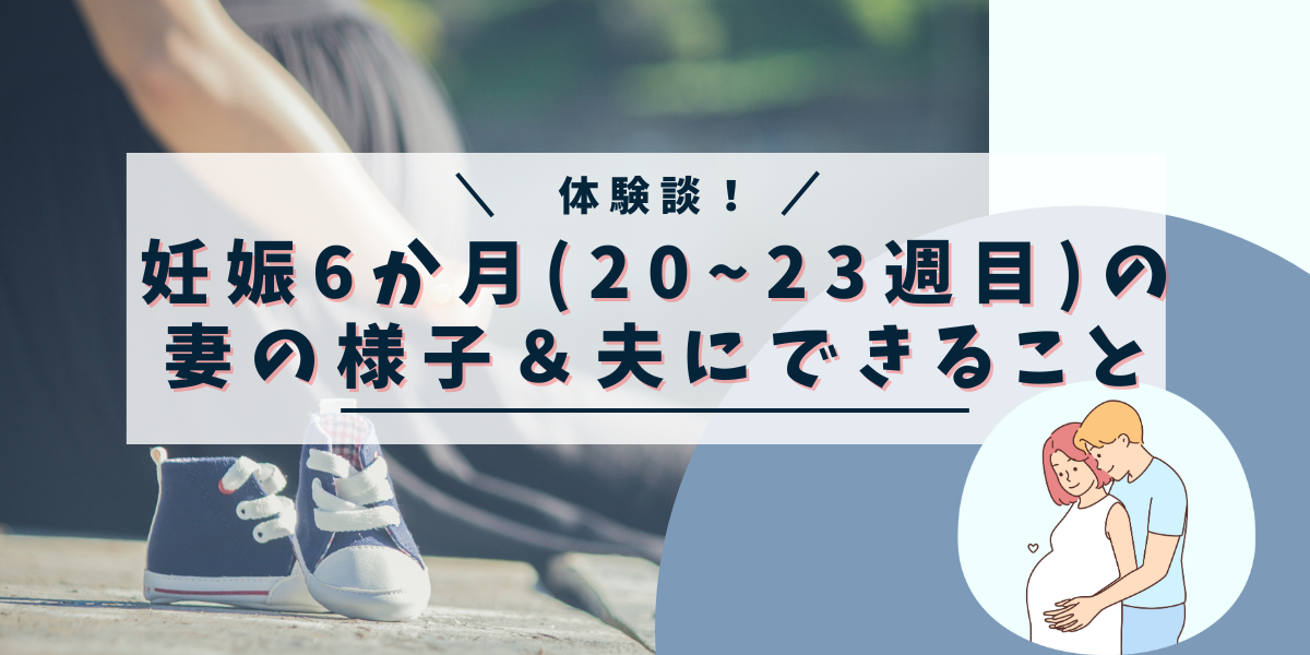 夫からみた妊娠6か月（20~23週目）の妻の様子＆夫にできること